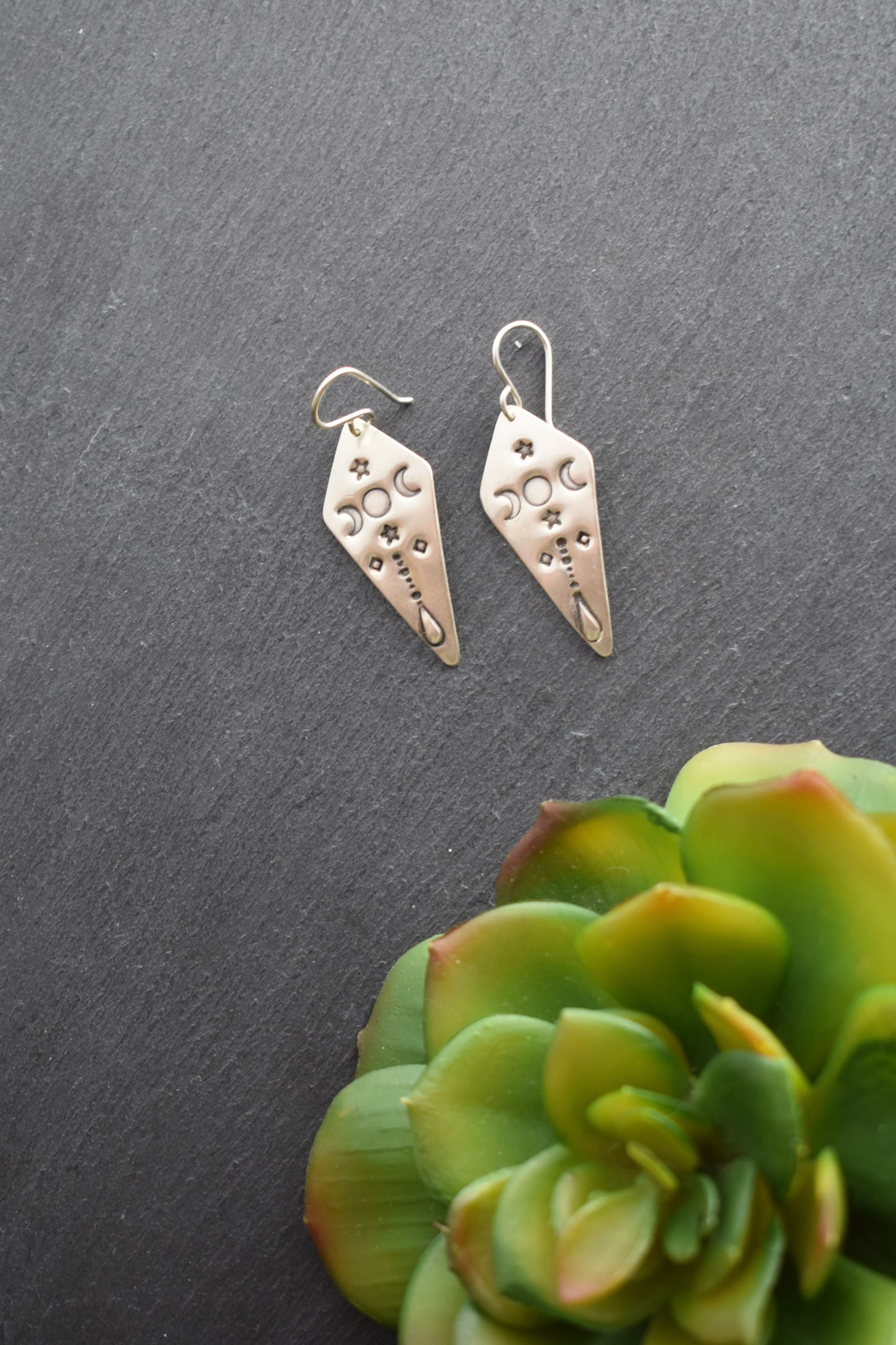 Silver Elements Earrings
