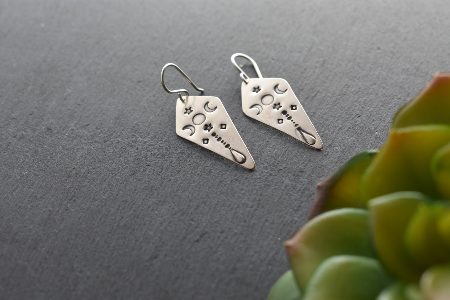 Silver Elements Earrings