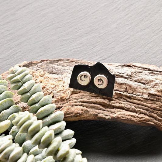 Silver Elements: Moon + Star Stud Earrings